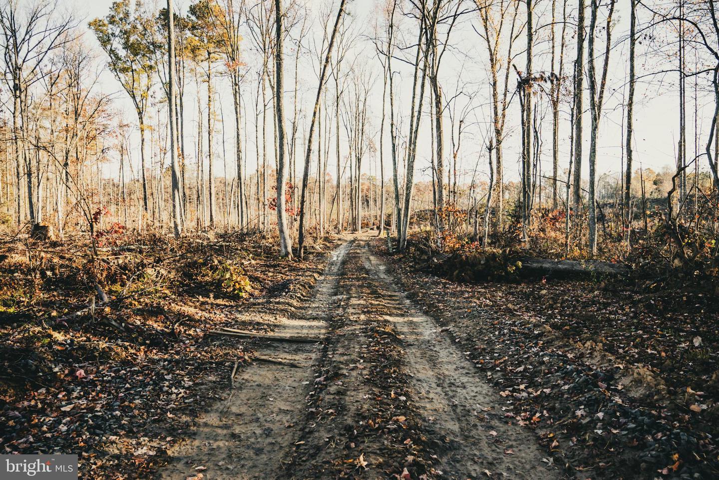 12600 W CATHARPIN RD, SPOTSYLVANIA, Virginia 22551, ,Farm,For Sale,12600 W CATHARPIN RD,VASP2037526 MLS # VASP2037526