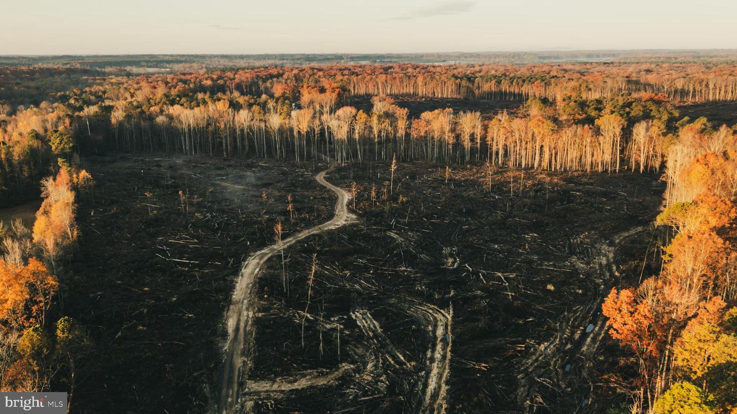 12600 W CATHARPIN RD, SPOTSYLVANIA, Virginia 22551, ,Farm,For Sale,12600 W CATHARPIN RD,VASP2037526 MLS # VASP2037526