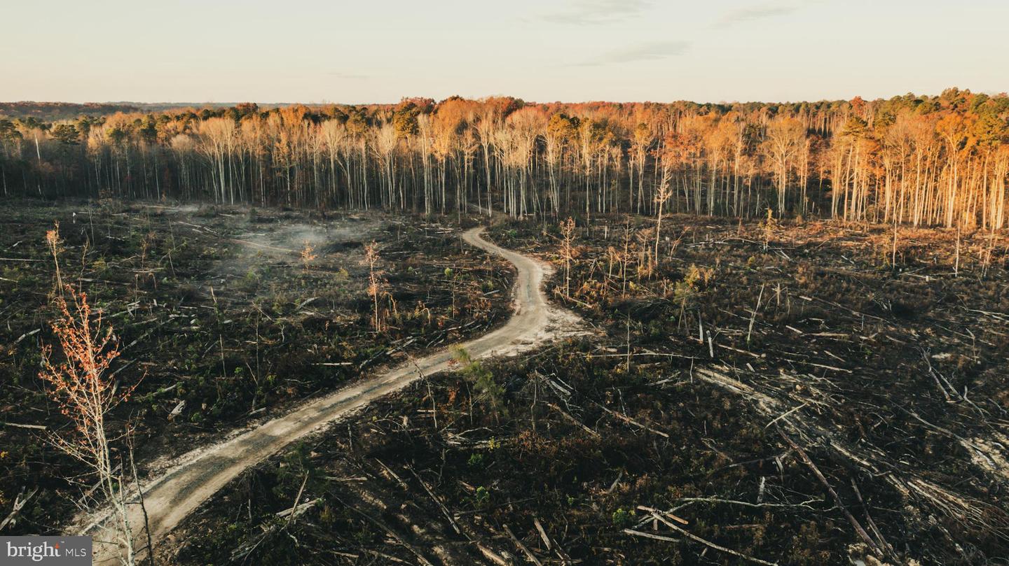 12600 W CATHARPIN RD, SPOTSYLVANIA, Virginia 22551, ,Farm,For Sale,12600 W CATHARPIN RD,VASP2037526 MLS # VASP2037526