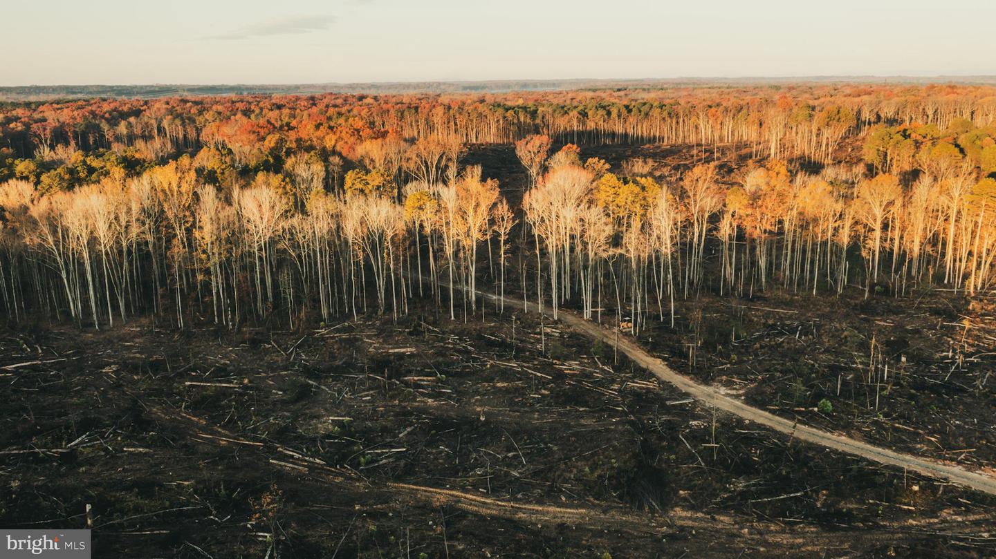 12600 W CATHARPIN RD, SPOTSYLVANIA, Virginia 22551, ,Farm,For Sale,12600 W CATHARPIN RD,VASP2037526 MLS # VASP2037526