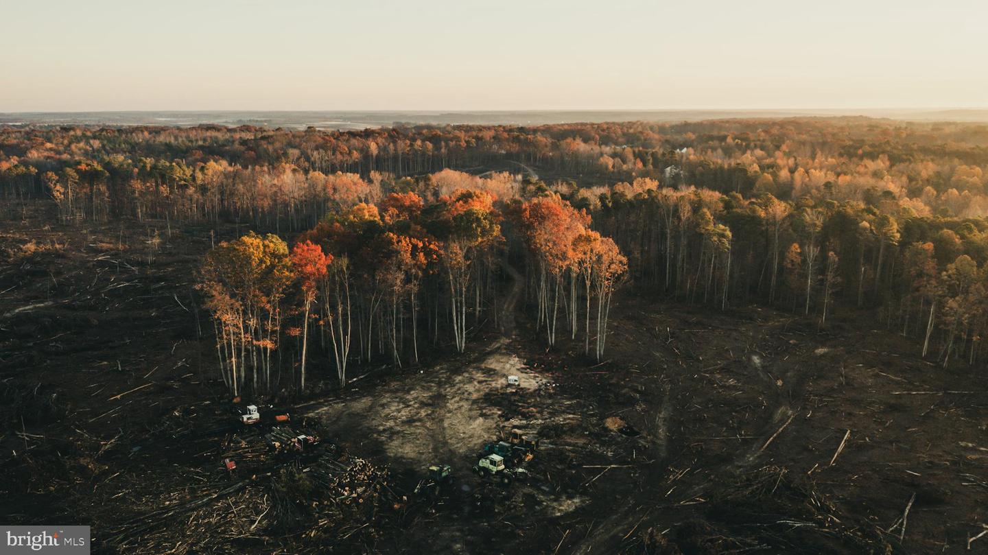 12600 W CATHARPIN RD, SPOTSYLVANIA, Virginia 22551, ,Farm,For Sale,12600 W CATHARPIN RD,VASP2037526 MLS # VASP2037526