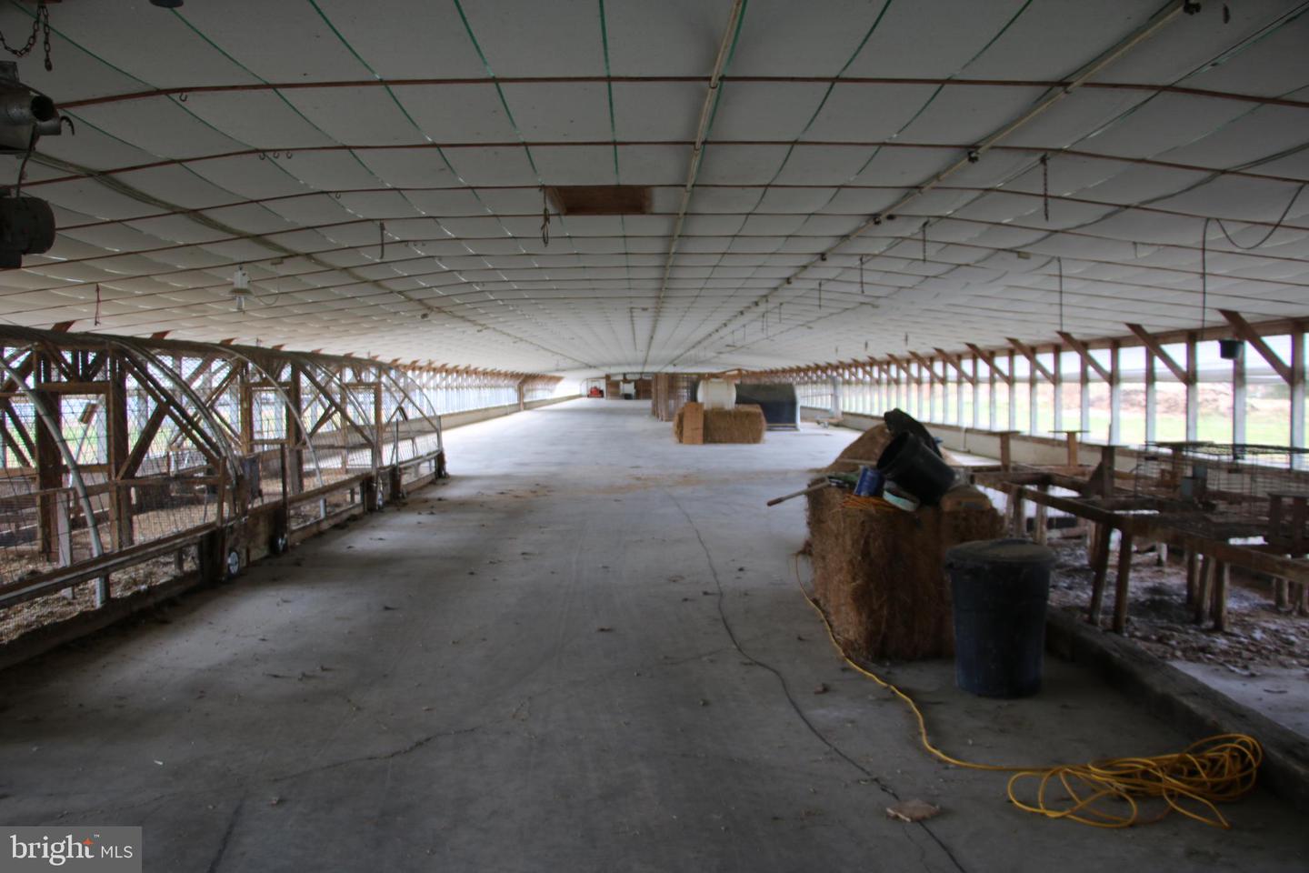 499 E LEE HWY, NEW MARKET, Virginia 22844, ,Farm,For Sale,499 E LEE HWY,VASH2012988 MLS # VASH2012988 499 E LEE HWY, NEW MARKET, Virginia 22844, ,Farm,For Sale,499 E LEE HWY,VASH2012988 MLS # VASH2012988