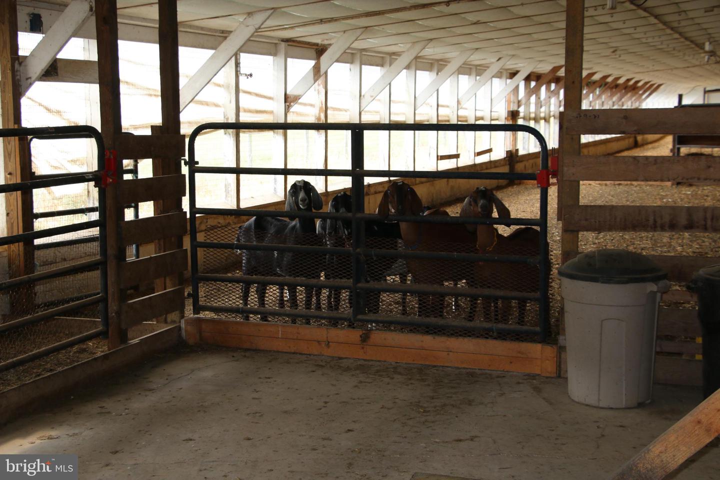 499 E LEE HWY, NEW MARKET, Virginia 22844, ,Farm,For Sale,499 E LEE HWY,VASH2012988 MLS # VASH2012988 499 E LEE HWY, NEW MARKET, Virginia 22844, ,Farm,For Sale,499 E LEE HWY,VASH2012988 MLS # VASH2012988