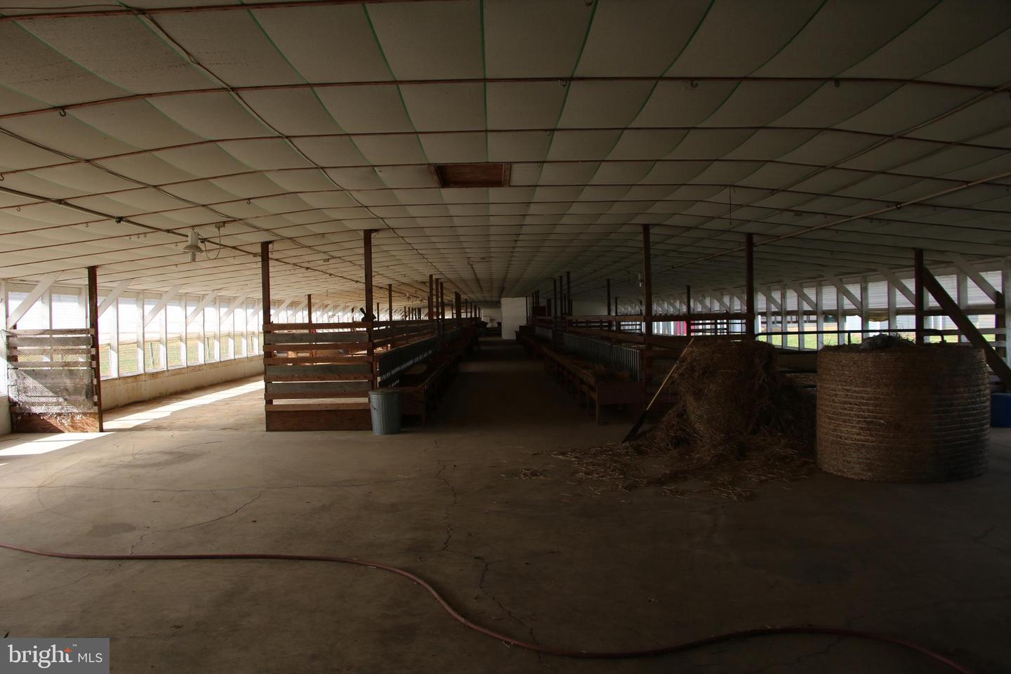 499 E LEE HWY, NEW MARKET, Virginia 22844, ,Farm,For Sale,499 E LEE HWY,VASH2012988 MLS # VASH2012988 499 E LEE HWY, NEW MARKET, Virginia 22844, ,Farm,For Sale,499 E LEE HWY,VASH2012988 MLS # VASH2012988