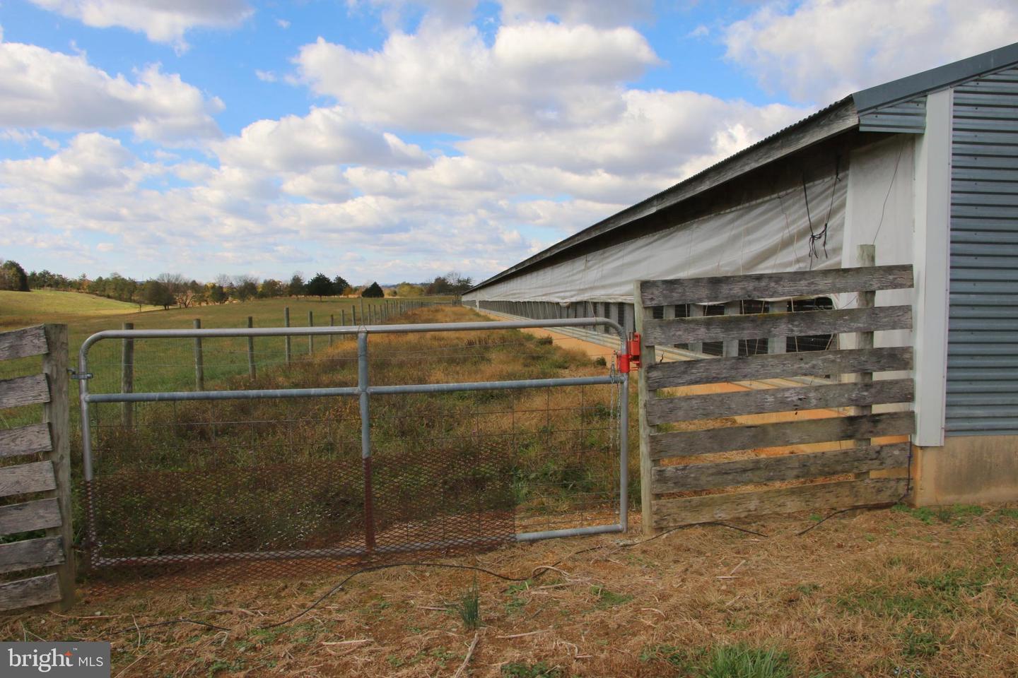 499 E LEE HWY, NEW MARKET, Virginia 22844, ,Farm,For Sale,499 E LEE HWY,VASH2012988 MLS # VASH2012988 499 E LEE HWY, NEW MARKET, Virginia 22844, ,Farm,For Sale,499 E LEE HWY,VASH2012988 MLS # VASH2012988