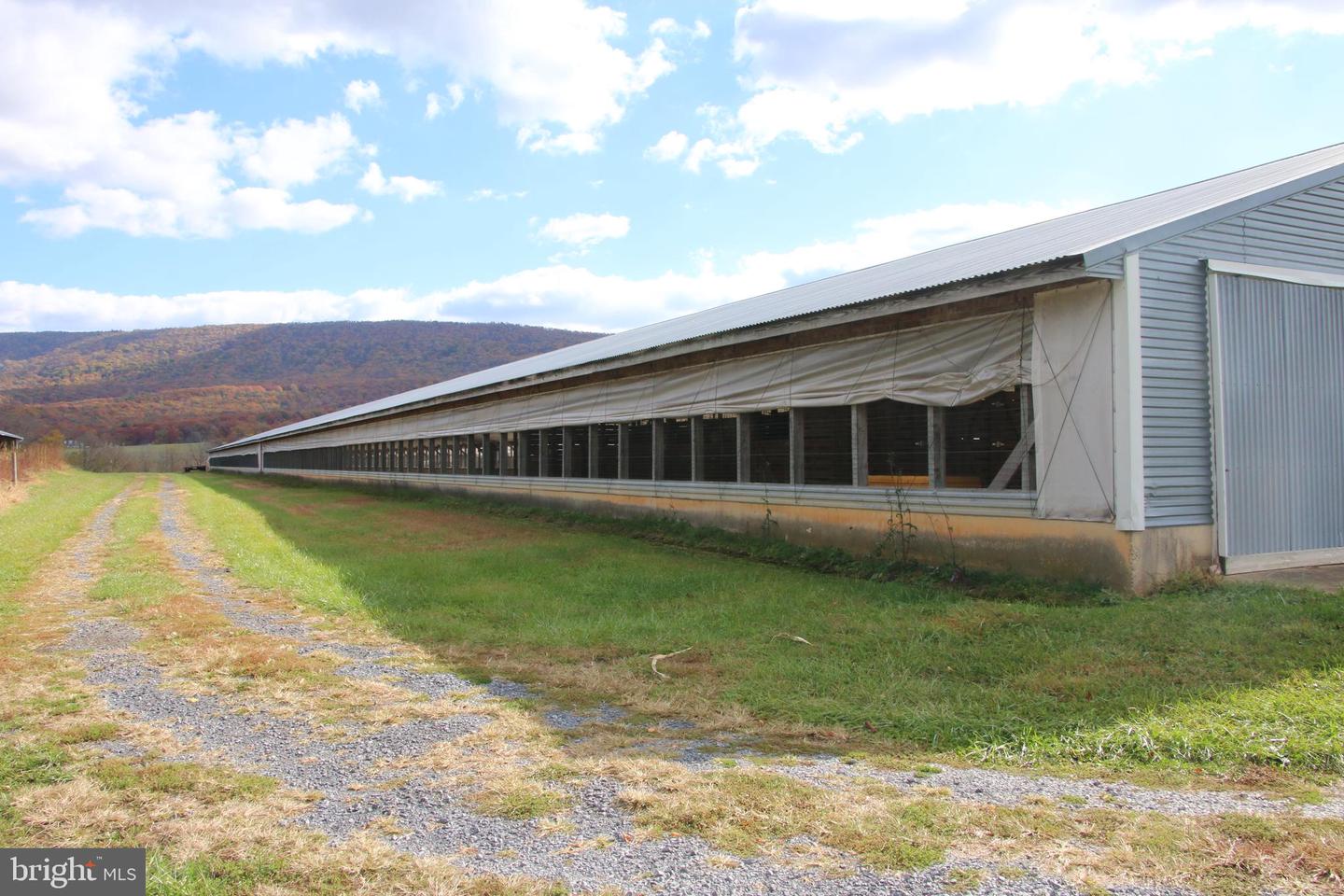 499 E LEE HWY, NEW MARKET, Virginia 22844, ,Farm,For Sale,499 E LEE HWY,VASH2012988 MLS # VASH2012988 499 E LEE HWY, NEW MARKET, Virginia 22844, ,Farm,For Sale,499 E LEE HWY,VASH2012988 MLS # VASH2012988