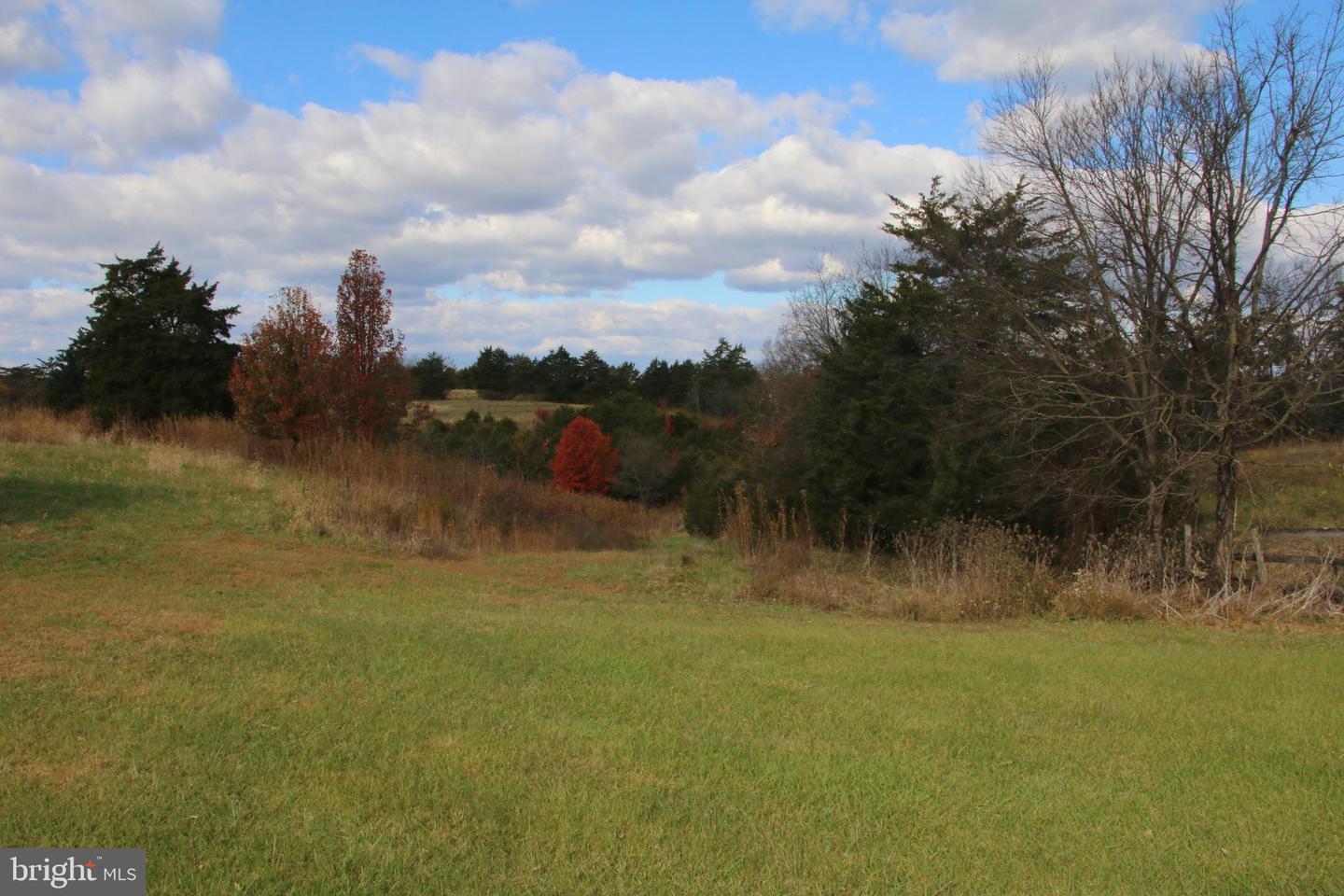 499 E LEE HWY, NEW MARKET, Virginia 22844, ,Farm,For Sale,499 E LEE HWY,VASH2012988 MLS # VASH2012988 499 E LEE HWY, NEW MARKET, Virginia 22844, ,Farm,For Sale,499 E LEE HWY,VASH2012988 MLS # VASH2012988