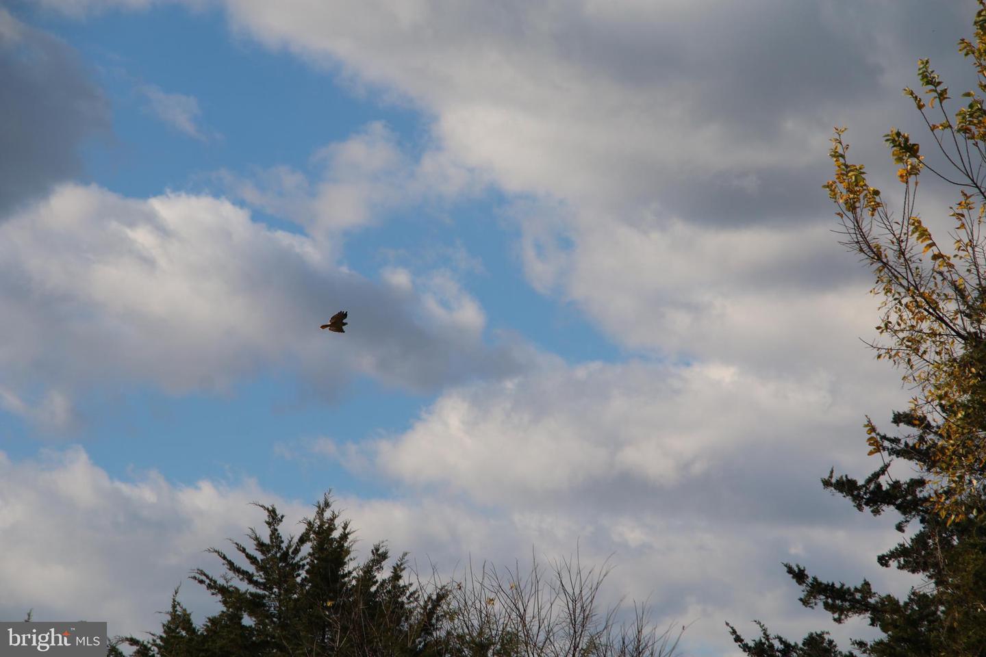 499 E LEE HWY, NEW MARKET, Virginia 22844, ,Farm,For Sale,499 E LEE HWY,VASH2012988 MLS # VASH2012988 499 E LEE HWY, NEW MARKET, Virginia 22844, ,Farm,For Sale,499 E LEE HWY,VASH2012988 MLS # VASH2012988