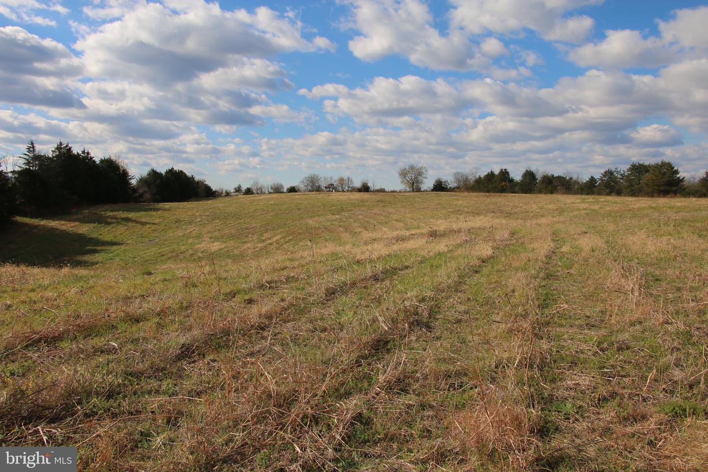 499 E LEE HWY, NEW MARKET, Virginia 22844, ,Farm,For Sale,499 E LEE HWY,VASH2012988 MLS # VASH2012988 499 E LEE HWY, NEW MARKET, Virginia 22844, ,Farm,For Sale,499 E LEE HWY,VASH2012988 MLS # VASH2012988