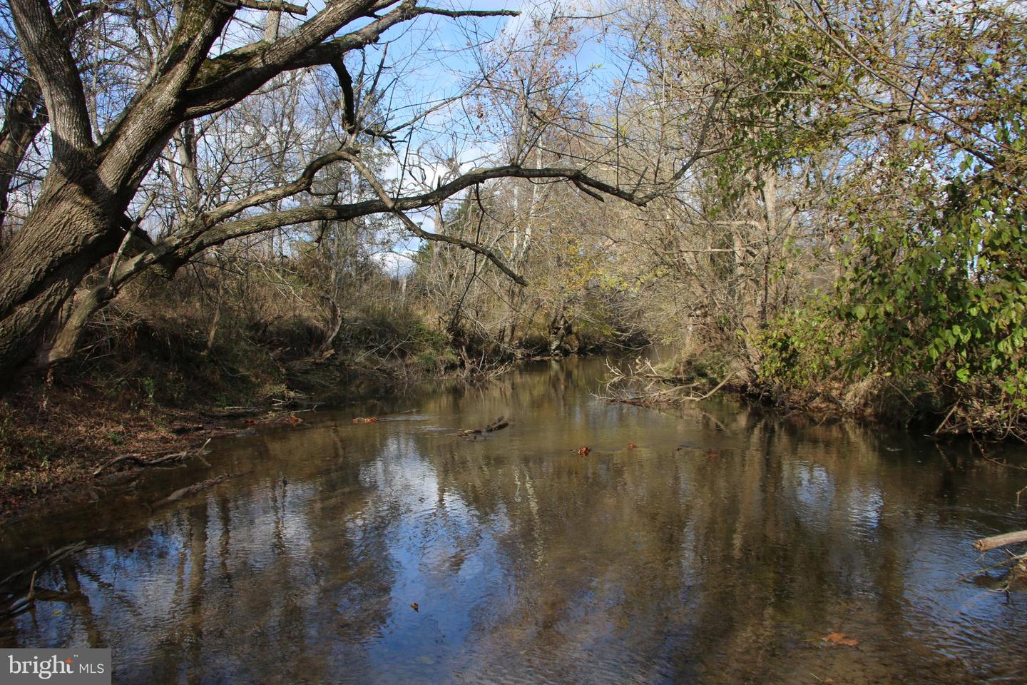 499 E LEE HWY, NEW MARKET, Virginia 22844, ,Farm,For Sale,499 E LEE HWY,VASH2012988 MLS # VASH2012988 499 E LEE HWY, NEW MARKET, Virginia 22844, ,Farm,For Sale,499 E LEE HWY,VASH2012988 MLS # VASH2012988