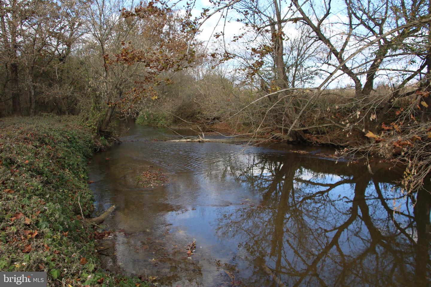 499 E LEE HWY, NEW MARKET, Virginia 22844, ,Farm,For Sale,499 E LEE HWY,VASH2012988 MLS # VASH2012988 499 E LEE HWY, NEW MARKET, Virginia 22844, ,Farm,For Sale,499 E LEE HWY,VASH2012988 MLS # VASH2012988