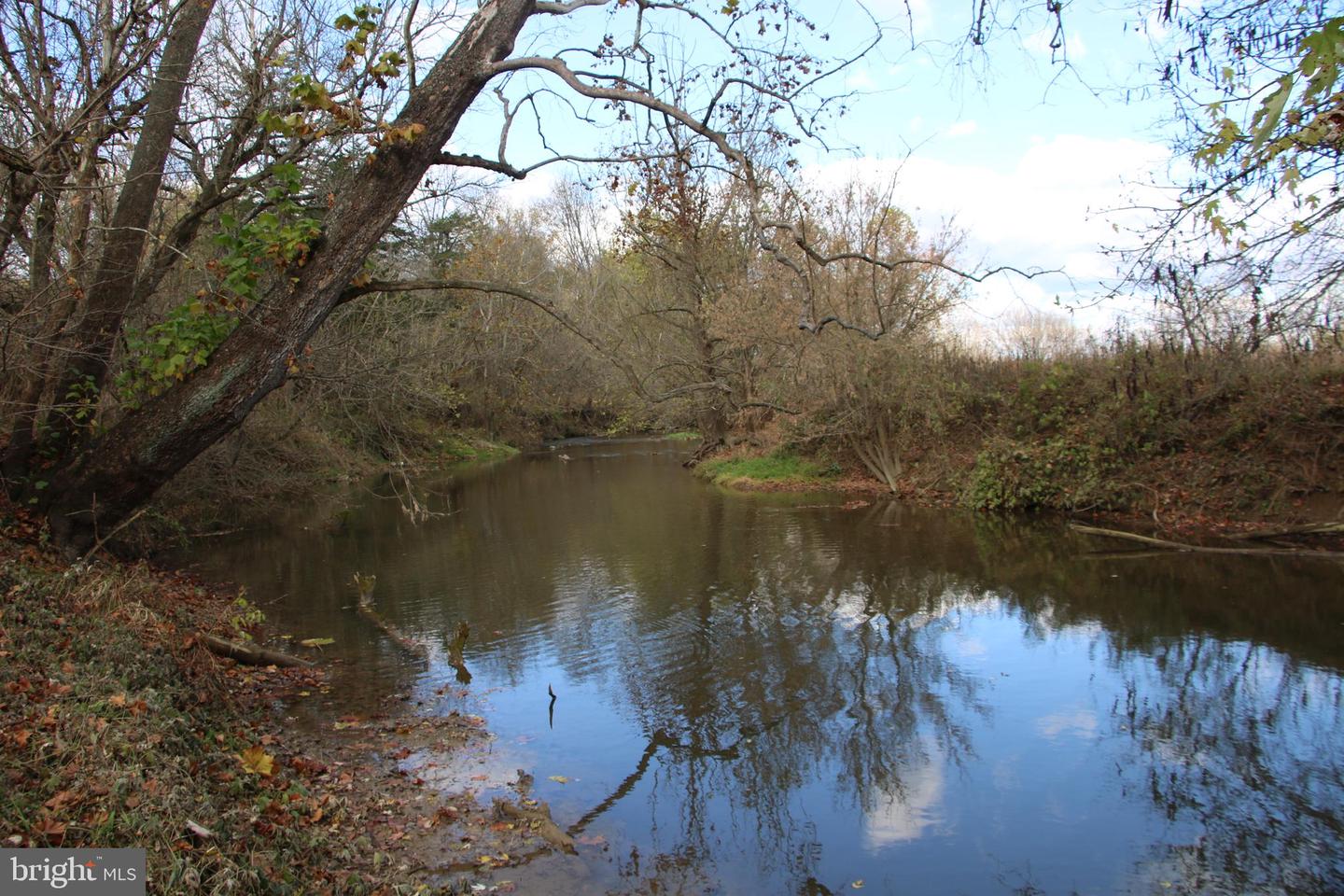 499 E LEE HWY, NEW MARKET, Virginia 22844, ,Farm,For Sale,499 E LEE HWY,VASH2012988 MLS # VASH2012988 499 E LEE HWY, NEW MARKET, Virginia 22844, ,Farm,For Sale,499 E LEE HWY,VASH2012988 MLS # VASH2012988