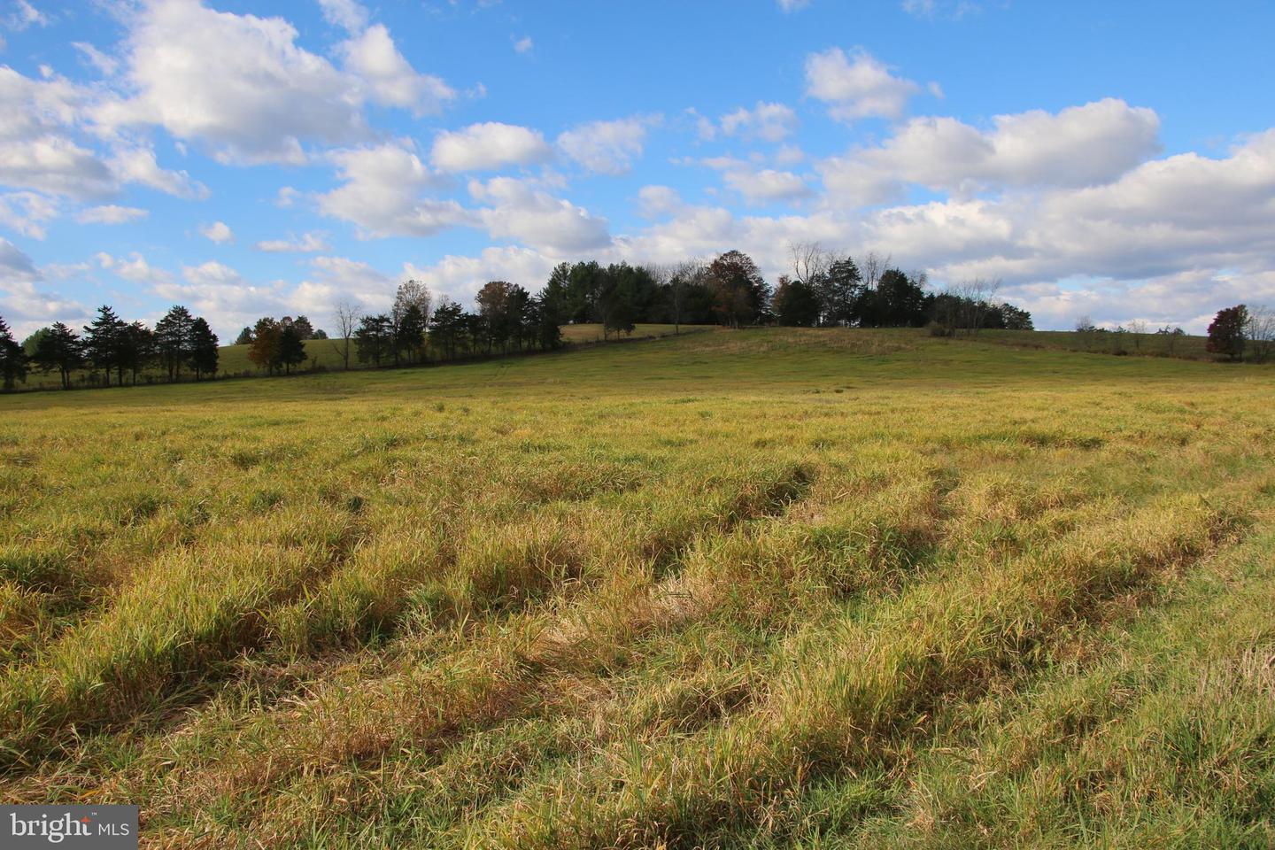 499 E LEE HWY, NEW MARKET, Virginia 22844, ,Farm,For Sale,499 E LEE HWY,VASH2012988 MLS # VASH2012988 499 E LEE HWY, NEW MARKET, Virginia 22844, ,Farm,For Sale,499 E LEE HWY,VASH2012988 MLS # VASH2012988