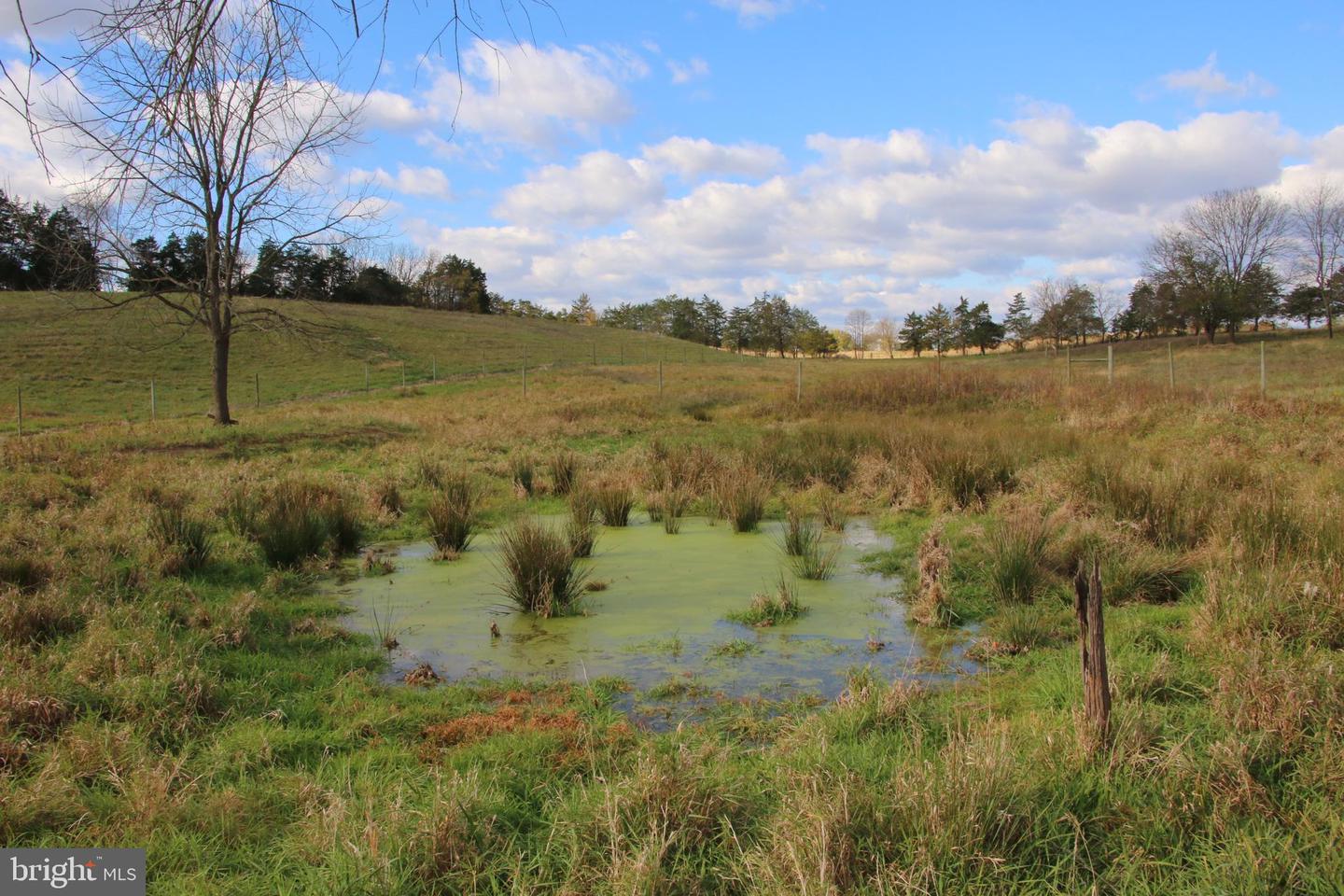 499 E LEE HWY, NEW MARKET, Virginia 22844, ,Farm,For Sale,499 E LEE HWY,VASH2012988 MLS # VASH2012988 499 E LEE HWY, NEW MARKET, Virginia 22844, ,Farm,For Sale,499 E LEE HWY,VASH2012988 MLS # VASH2012988