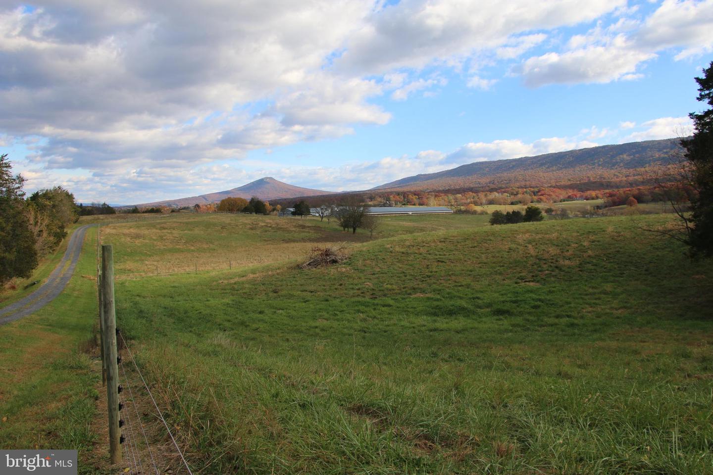 499 E LEE HWY, NEW MARKET, Virginia 22844, ,Farm,For Sale,499 E LEE HWY,VASH2012988 MLS # VASH2012988 499 E LEE HWY, NEW MARKET, Virginia 22844, ,Farm,For Sale,499 E LEE HWY,VASH2012988 MLS # VASH2012988