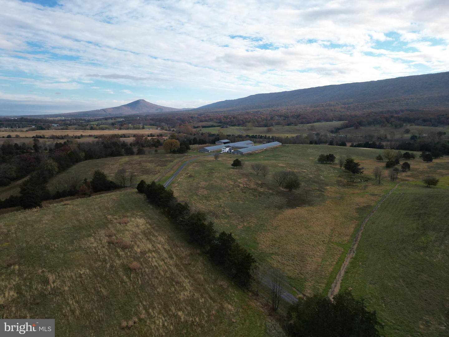 499 E LEE HWY, NEW MARKET, Virginia 22844, ,Farm,For Sale,499 E LEE HWY,VASH2012988 MLS # VASH2012988 499 E LEE HWY, NEW MARKET, Virginia 22844, ,Farm,For Sale,499 E LEE HWY,VASH2012988 MLS # VASH2012988