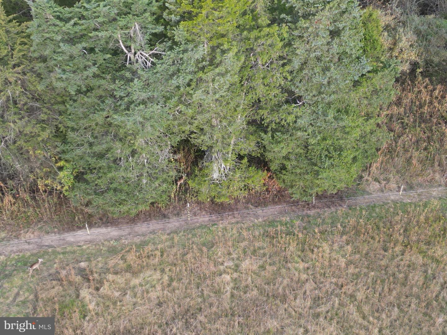 499 E LEE HWY, NEW MARKET, Virginia 22844, ,Farm,For Sale,499 E LEE HWY,VASH2012988 MLS # VASH2012988 499 E LEE HWY, NEW MARKET, Virginia 22844, ,Farm,For Sale,499 E LEE HWY,VASH2012988 MLS # VASH2012988