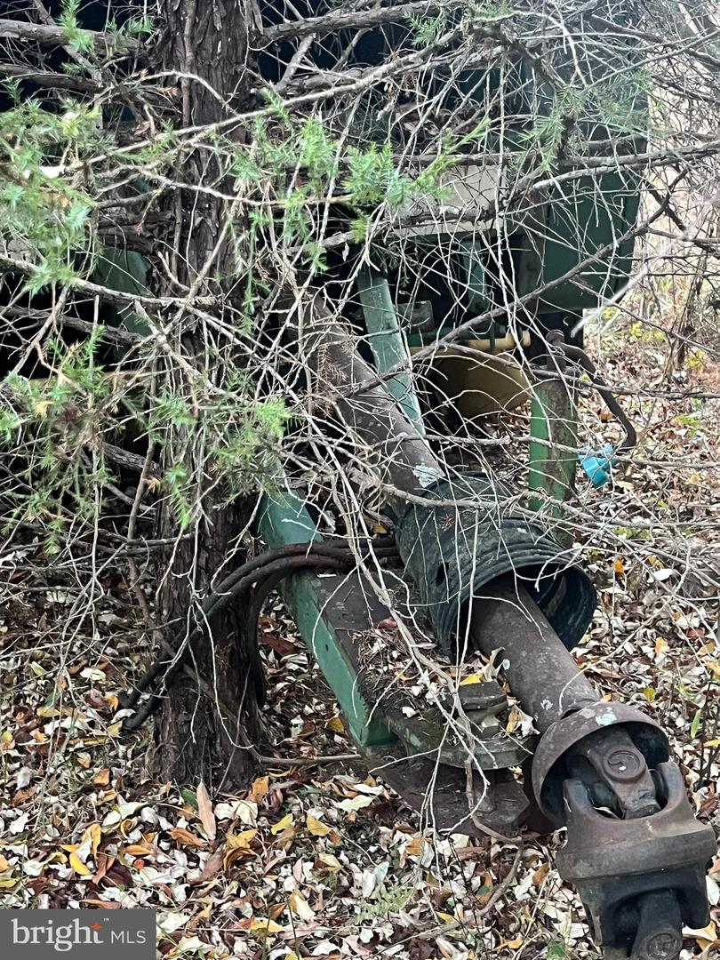 MITCHELL FORD RD, LIGNUM, Virginia 22726, ,Farm,For Sale,MITCHELL FORD RD,VACU2012054 MLS # VACU2012054