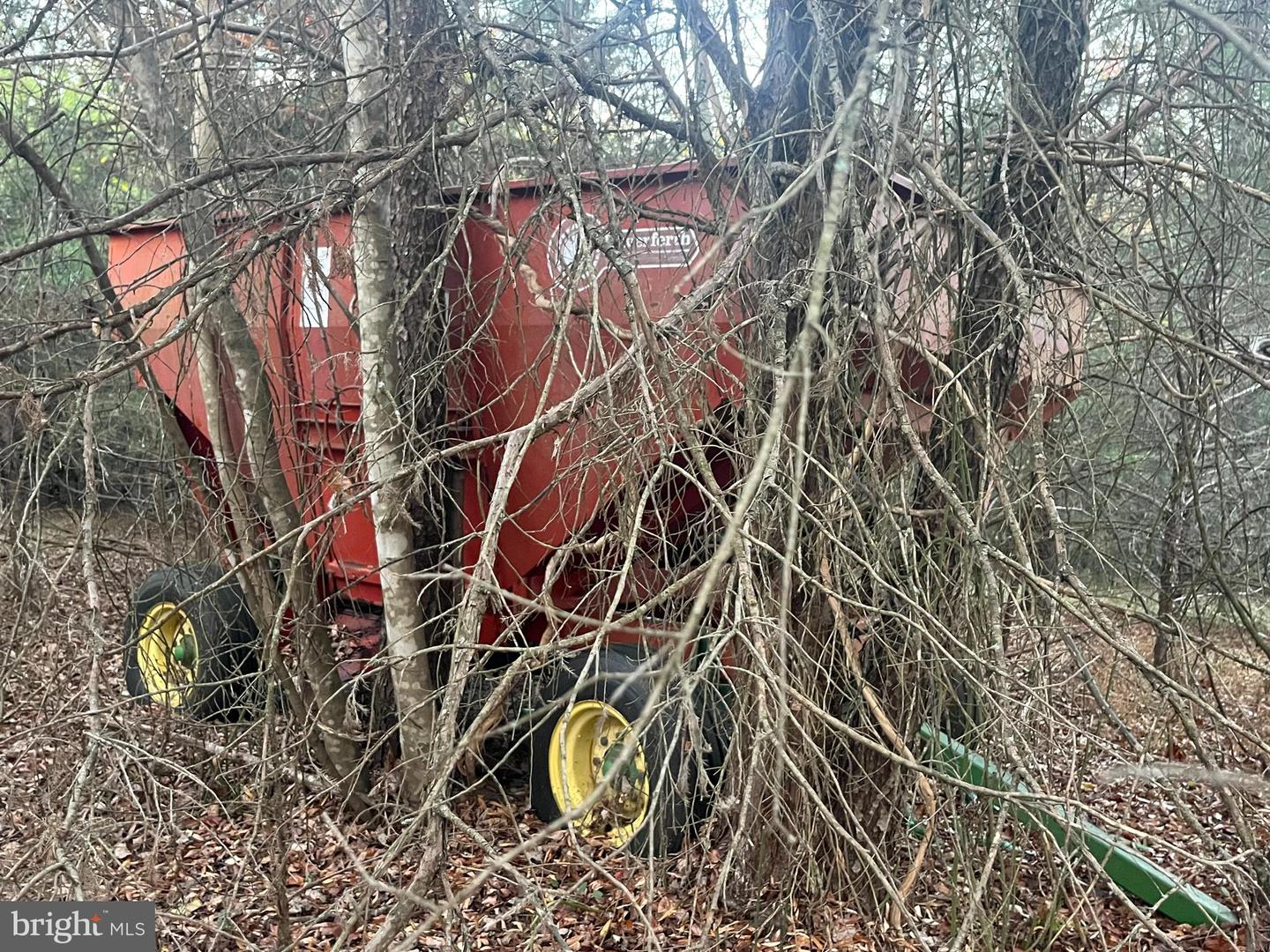 MITCHELL FORD RD, LIGNUM, Virginia 22726, ,Farm,For Sale,MITCHELL FORD RD,VACU2012054 MLS # VACU2012054