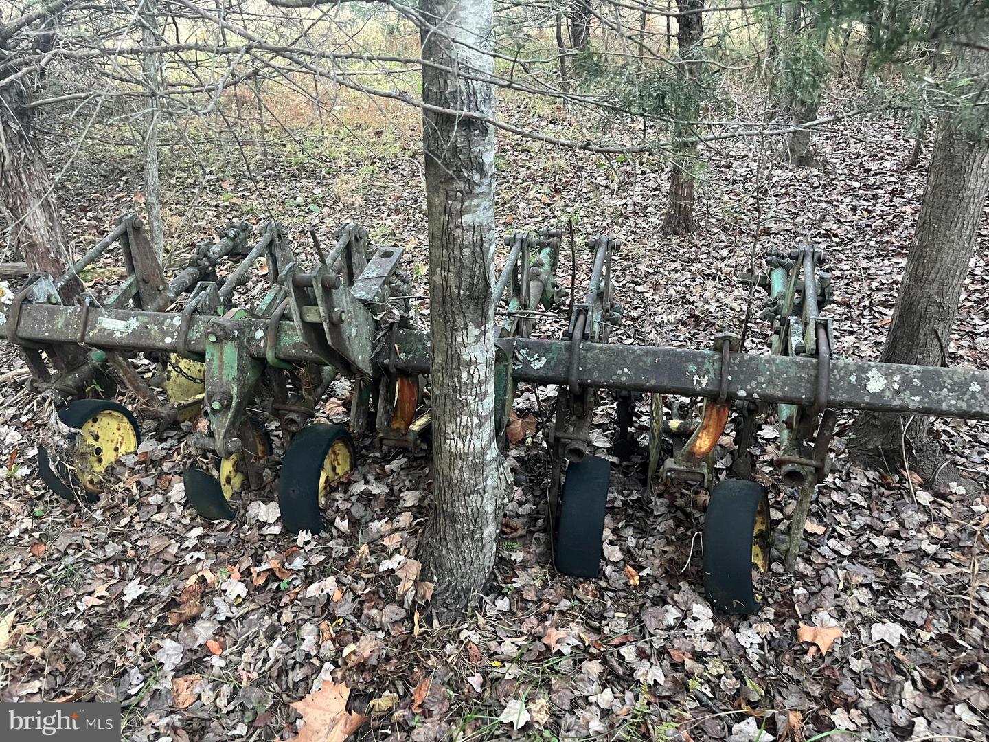 MITCHELL FORD RD, LIGNUM, Virginia 22726, ,Farm,For Sale,MITCHELL FORD RD,VACU2012054 MLS # VACU2012054