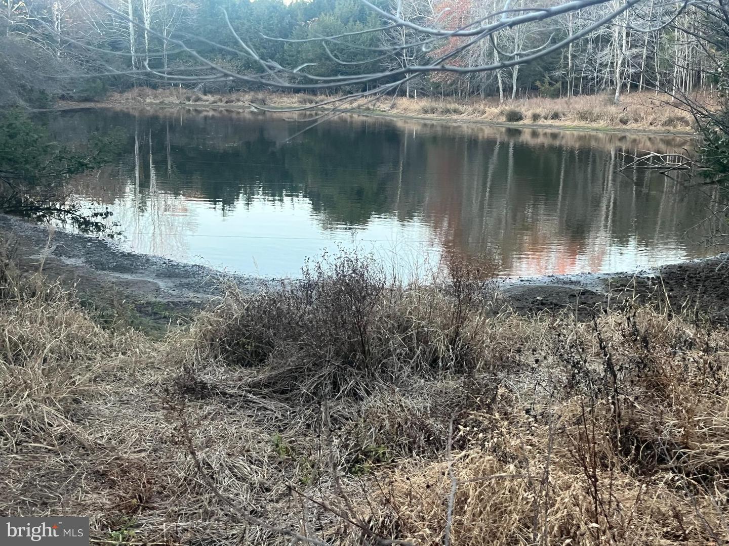 MITCHELL FORD RD, LIGNUM, Virginia 22726, ,Farm,For Sale,MITCHELL FORD RD,VACU2012054 MLS # VACU2012054