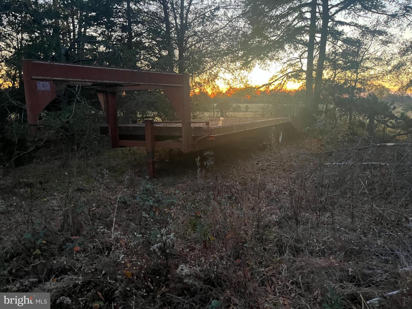 MITCHELL FORD RD, LIGNUM, Virginia 22726, ,Farm,For Sale,MITCHELL FORD RD,VACU2012054 MLS # VACU2012054