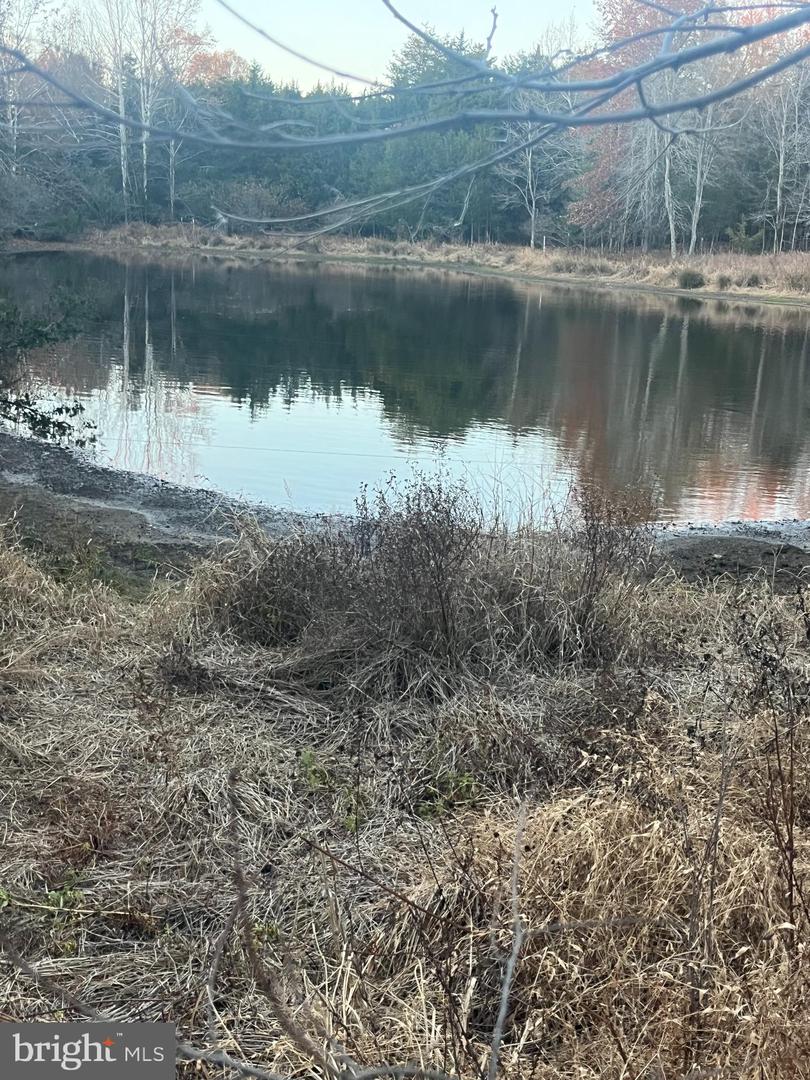 MITCHELL FORD RD, LIGNUM, Virginia 22726, ,Farm,For Sale,MITCHELL FORD RD,VACU2012054 MLS # VACU2012054