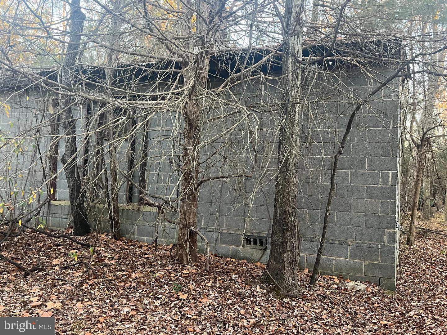 MITCHELL FORD RD, LIGNUM, Virginia 22726, ,Farm,For Sale,MITCHELL FORD RD,VACU2012054 MLS # VACU2012054