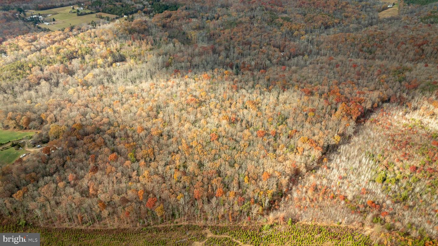 14100 CEDAR PLANTATION RD, SPOTSYLVANIA, Virginia 22551, ,Land,For Sale,14100 CEDAR PLANTATION RD,VASP2037550 MLS # VASP2037550