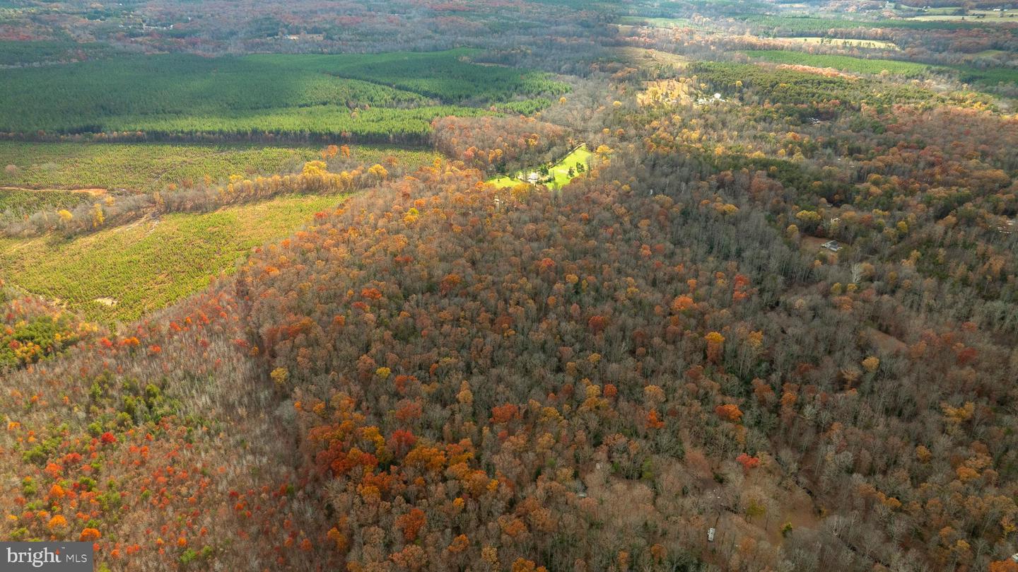 14100 CEDAR PLANTATION RD, SPOTSYLVANIA, Virginia 22551, ,Land,For Sale,14100 CEDAR PLANTATION RD,VASP2037550 MLS # VASP2037550