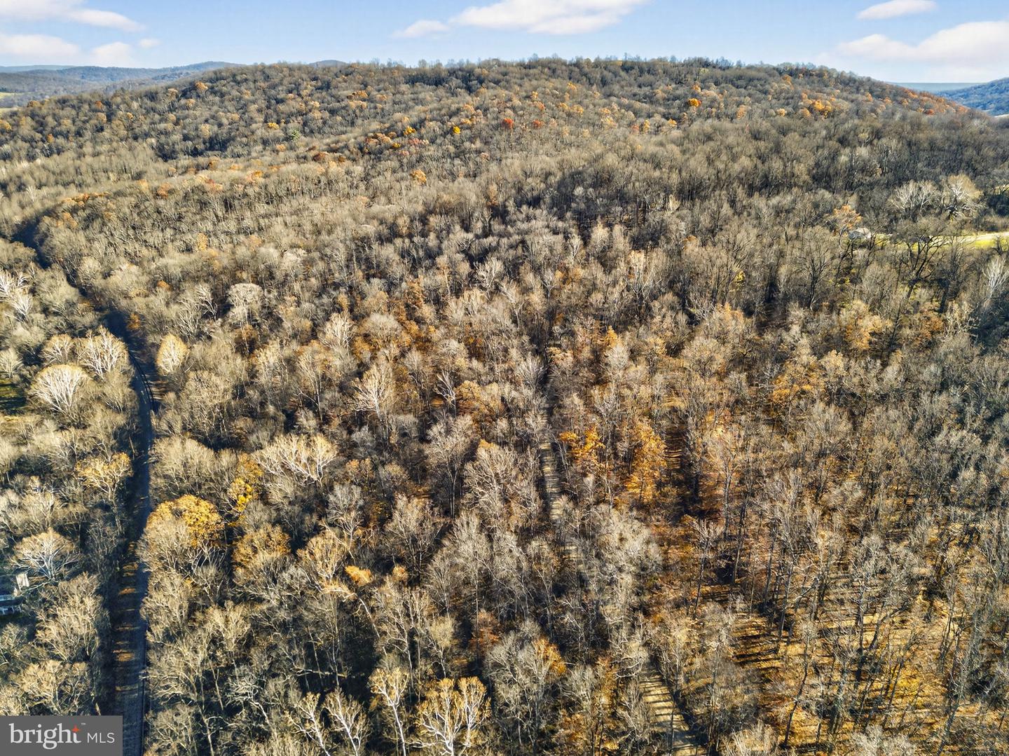 FIERY RUN RD, LINDEN, Virginia 22642, ,Land,For Sale,FIERY RUN RD,VAFQ2019678 MLS # VAFQ2019678