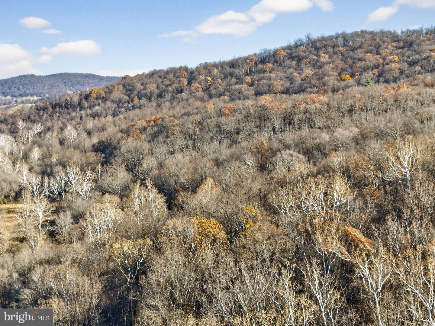 FIERY RUN RD, LINDEN, Virginia 22642, ,Land,For Sale,FIERY RUN RD,VAFQ2019678 MLS # VAFQ2019678