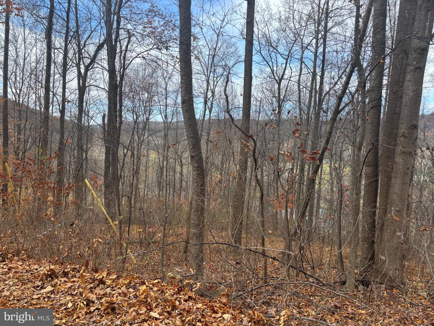 FIERY RUN RD, LINDEN, Virginia 22642, ,Land,For Sale,FIERY RUN RD,VAFQ2019678 MLS # VAFQ2019678