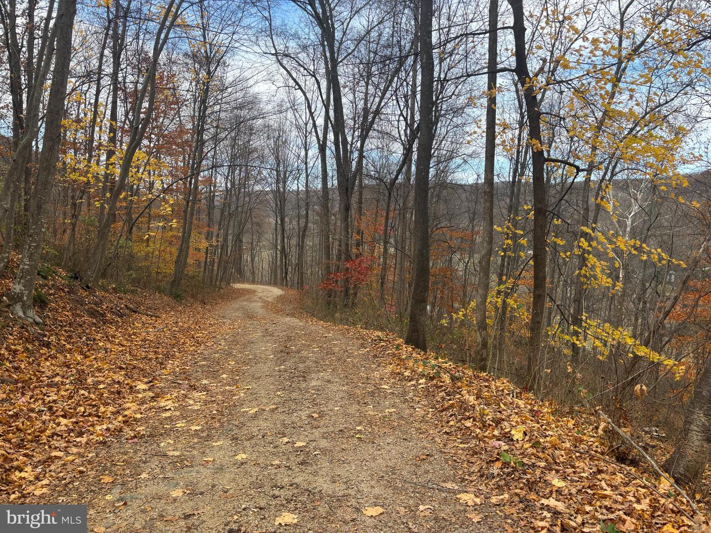 FIERY RUN RD, LINDEN, Virginia 22642, ,Land,For Sale,FIERY RUN RD,VAFQ2019678 MLS # VAFQ2019678