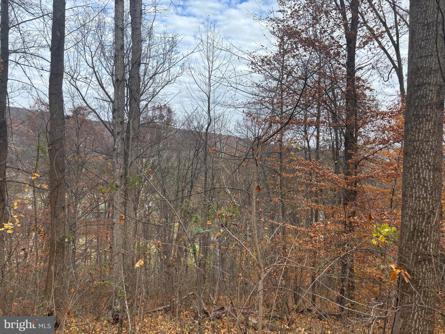 FIERY RUN RD, LINDEN, Virginia 22642, ,Land,For Sale,FIERY RUN RD,VAFQ2019678 MLS # VAFQ2019678
