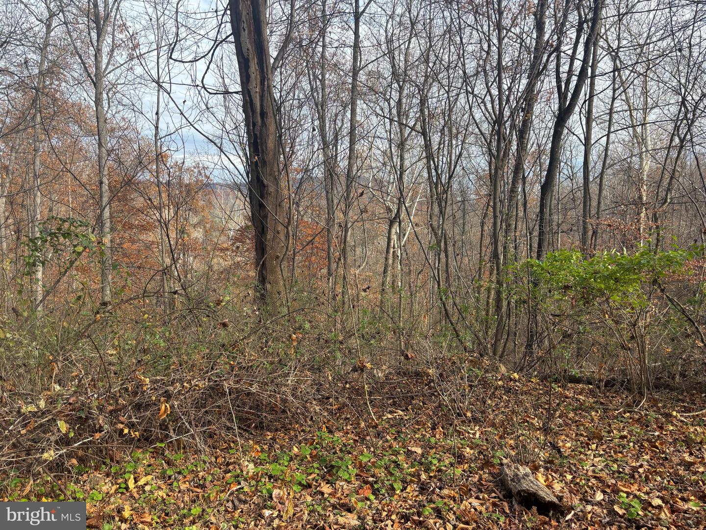 FIERY RUN RD, LINDEN, Virginia 22642, ,Land,For Sale,FIERY RUN RD,VAFQ2019678 MLS # VAFQ2019678