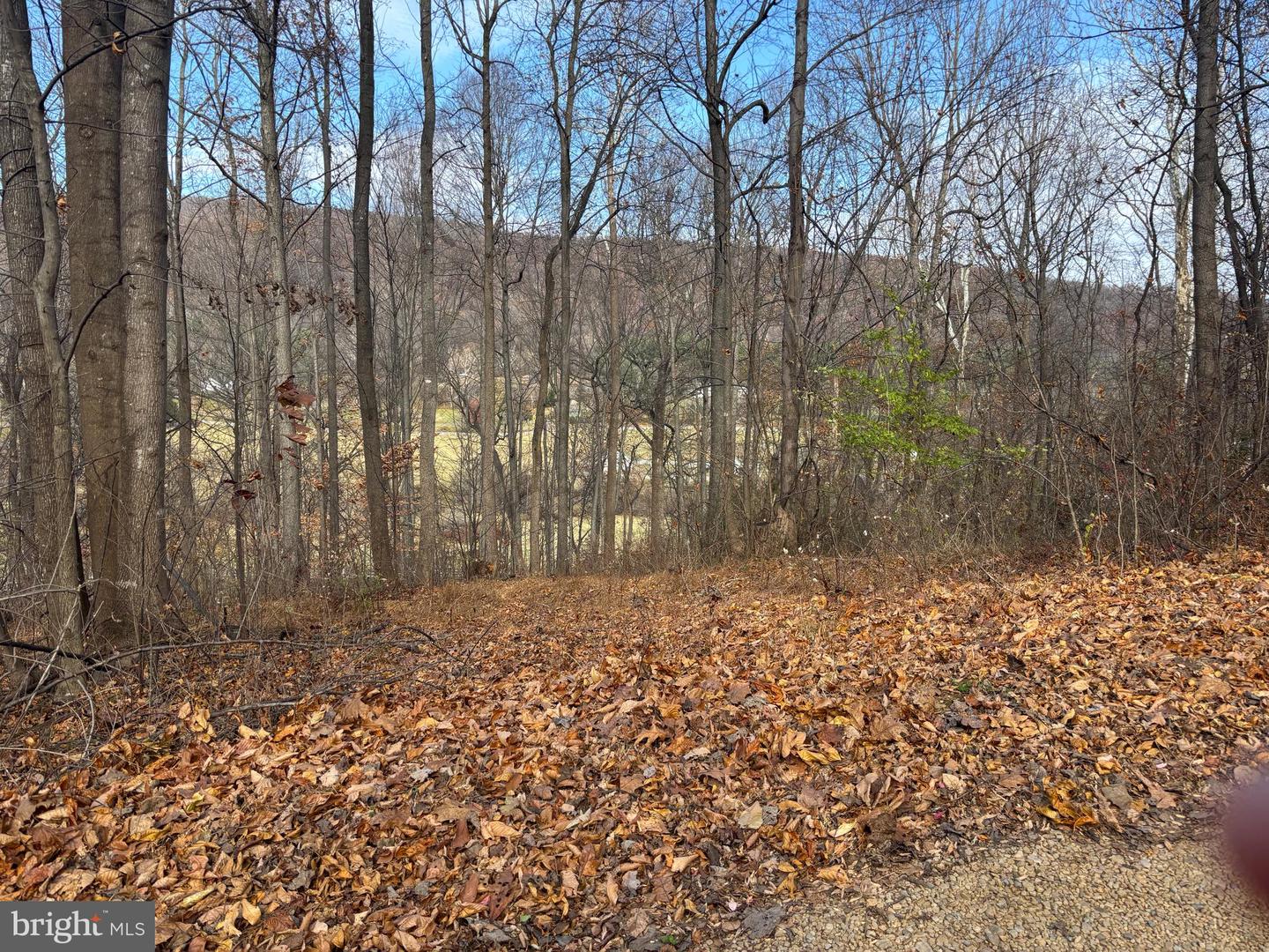 FIERY RUN RD, LINDEN, Virginia 22642, ,Land,For Sale,FIERY RUN RD,VAFQ2019678 MLS # VAFQ2019678