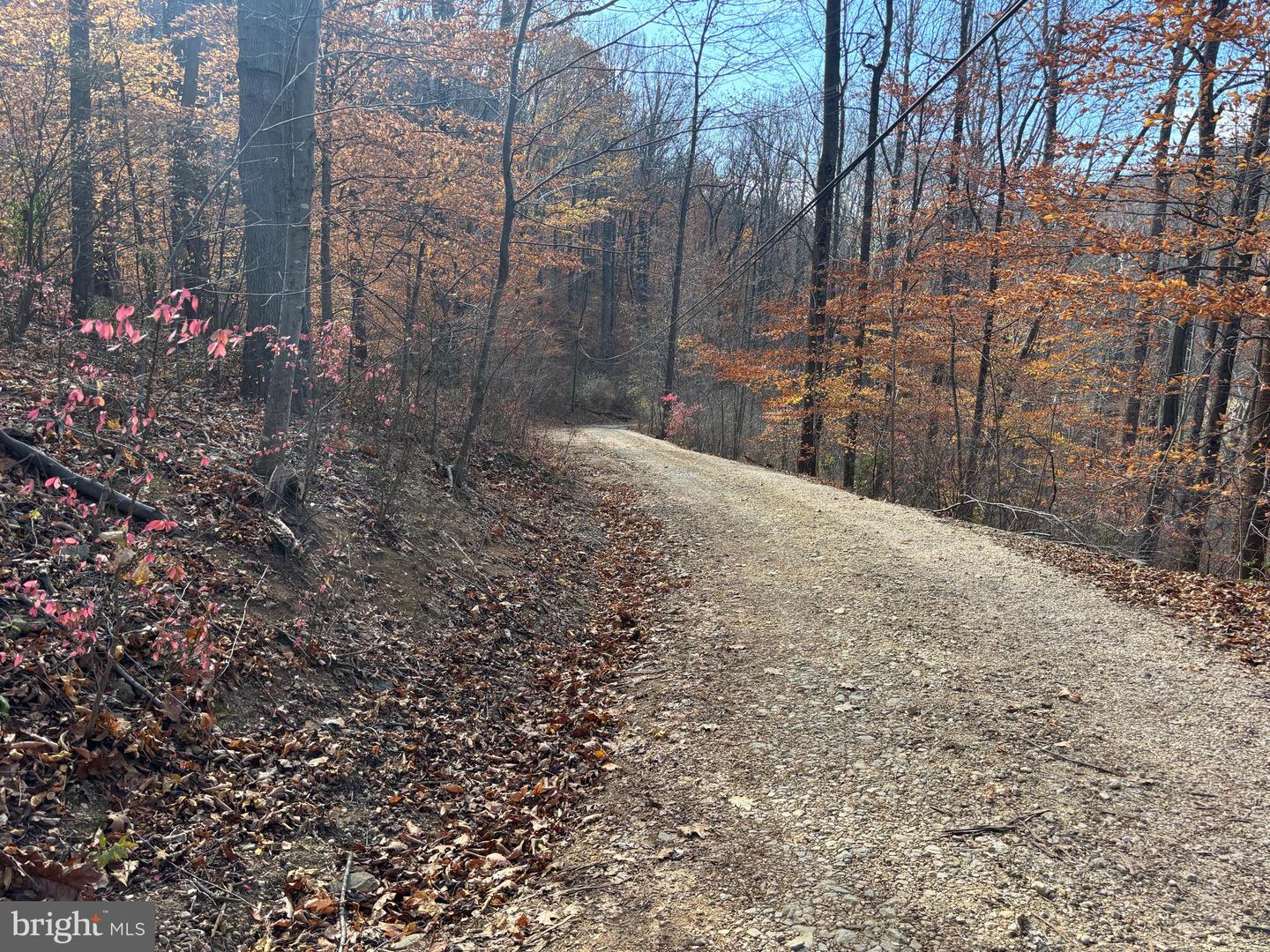 FIERY RUN RD, LINDEN, Virginia 22642, ,Land,For Sale,FIERY RUN RD,VAFQ2019678 MLS # VAFQ2019678