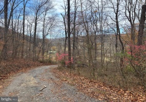 FIERY RUN RD, LINDEN, Virginia 22642, ,Land,For Sale,FIERY RUN RD,VAFQ2019678 MLS # VAFQ2019678 FIERY RUN RD, LINDEN, Virginia 22642, ,Land,For Sale,FIERY RUN RD,VAFQ2019678 MLS # VAFQ2019678