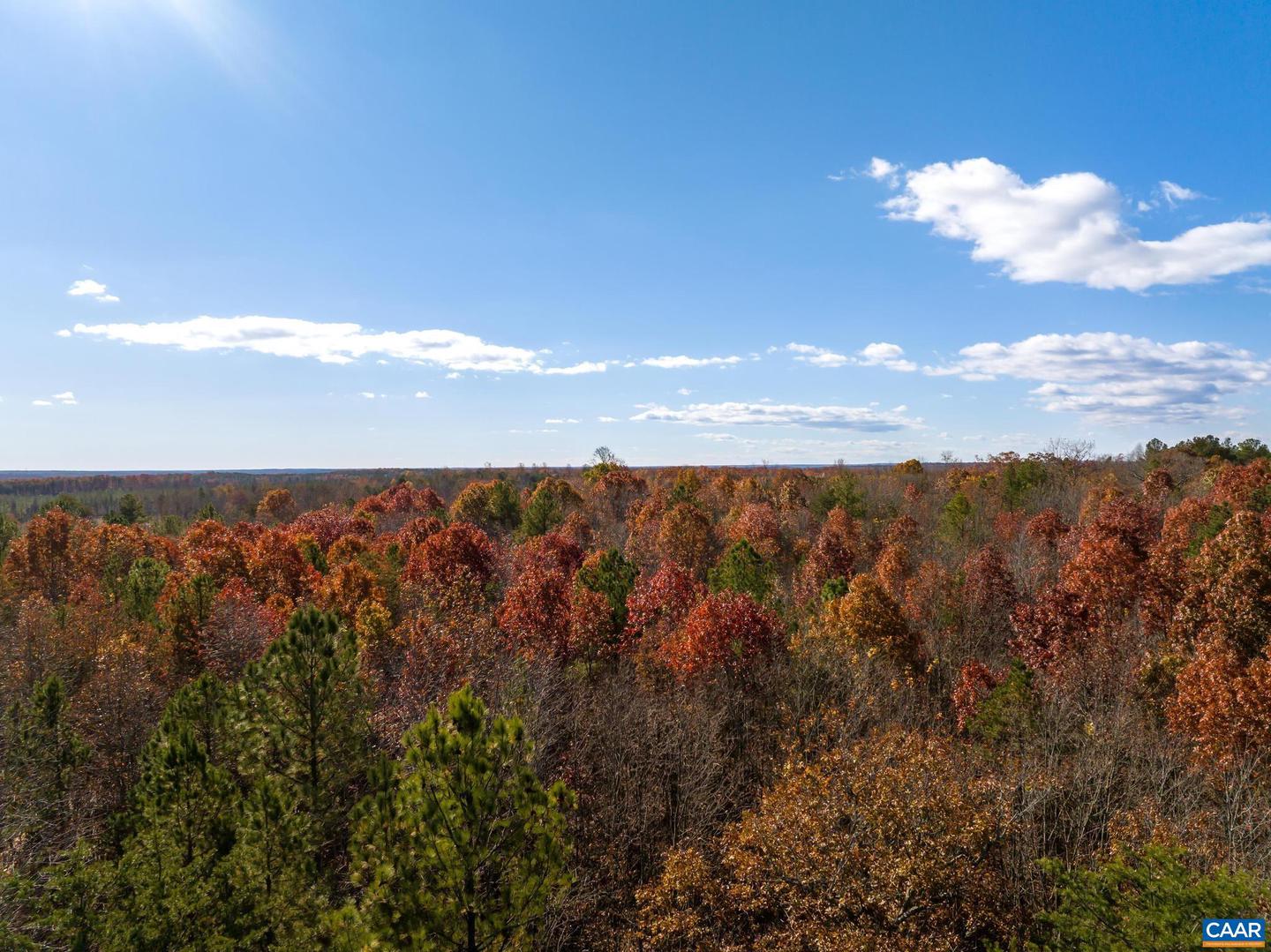 0 HOLLANDS RD, BYBEE, Virginia 22963, ,Farm,For Sale,0 HOLLANDS RD,671140 MLS # 671140