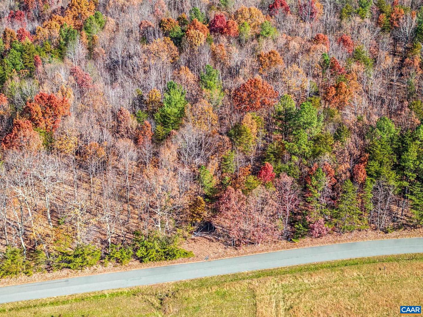 0 HOLLANDS RD, BYBEE, Virginia 22963, ,Farm,For Sale,0 HOLLANDS RD,671140 MLS # 671140