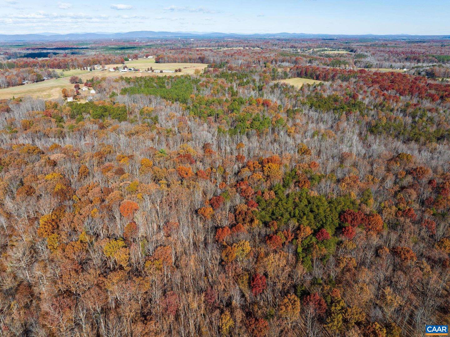 0 HOLLANDS RD, BYBEE, Virginia 22963, ,Farm,For Sale,0 HOLLANDS RD,671140 MLS # 671140