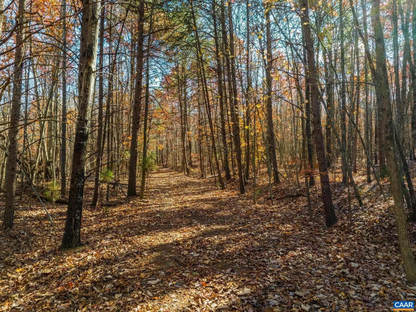 0 HOLLANDS RD, BYBEE, Virginia 22963, ,Farm,For Sale,0 HOLLANDS RD,671140 MLS # 671140