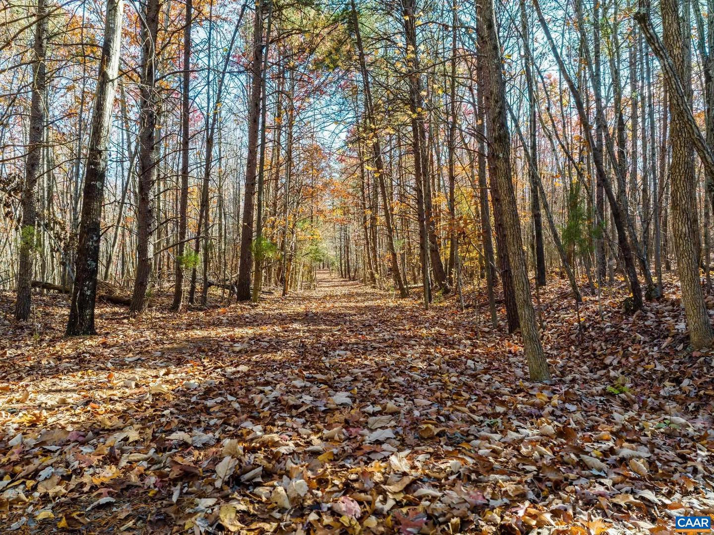 0 HOLLANDS RD, BYBEE, Virginia 22963, ,Farm,For Sale,0 HOLLANDS RD,671140 MLS # 671140