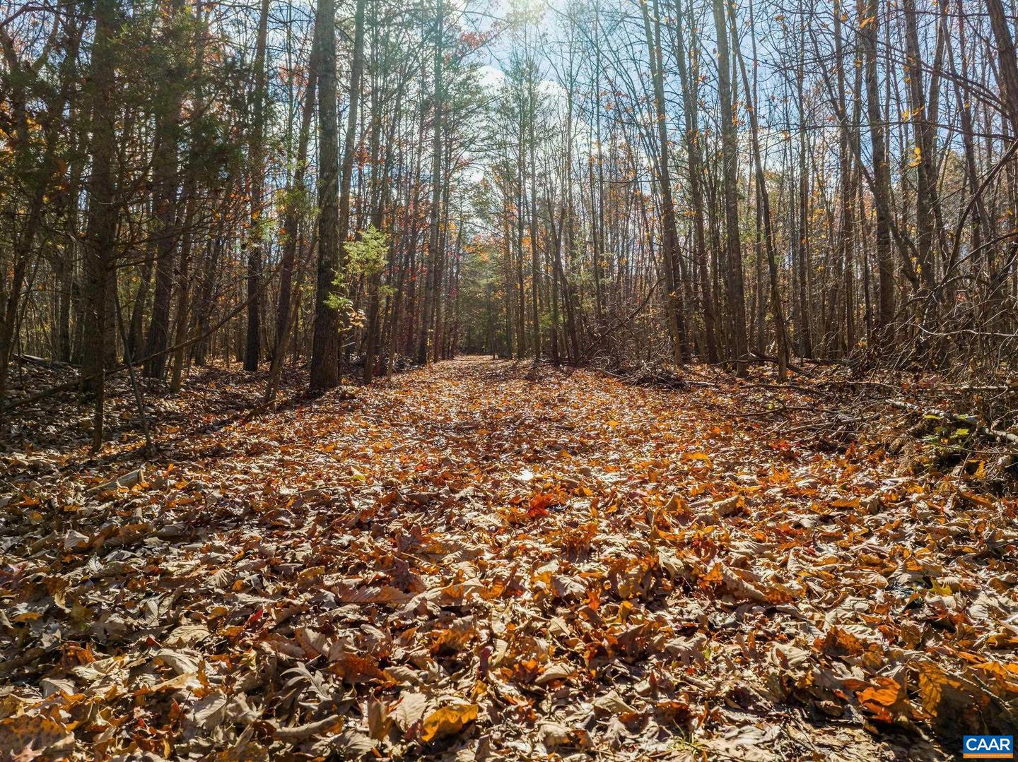 0 HOLLANDS RD, BYBEE, Virginia 22963, ,Farm,For Sale,0 HOLLANDS RD,671140 MLS # 671140