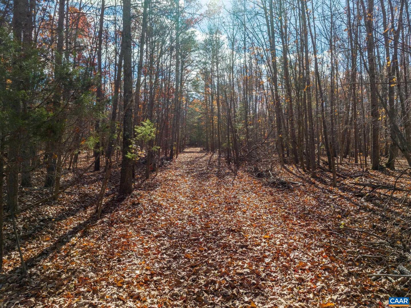 0 HOLLANDS RD, BYBEE, Virginia 22963, ,Farm,For Sale,0 HOLLANDS RD,671140 MLS # 671140