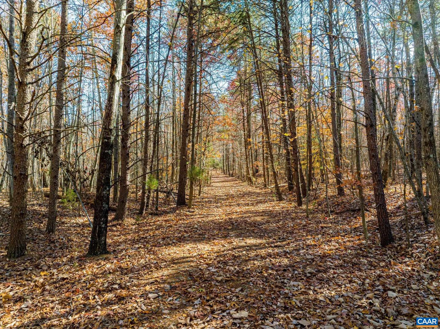 0 HOLLANDS RD, BYBEE, Virginia 22963, ,Farm,For Sale,0 HOLLANDS RD,671140 MLS # 671140