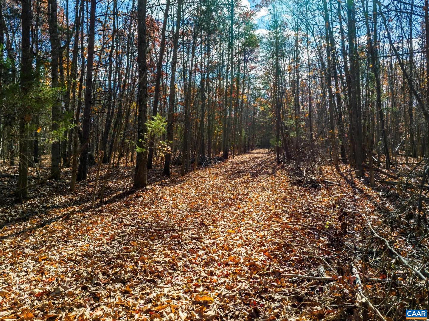 0 HOLLANDS RD, BYBEE, Virginia 22963, ,Farm,For Sale,0 HOLLANDS RD,671140 MLS # 671140