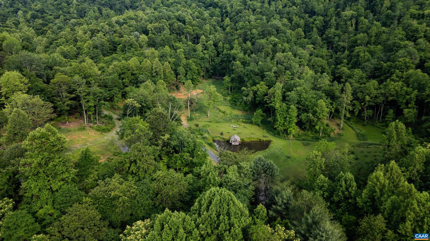 1390 PERKINS HOLLOW LN, FABER, Virginia 22938, ,Farm,For Sale,1390 PERKINS HOLLOW LN,671160 MLS # 671160 1390 PERKINS HOLLOW LN, FABER, Virginia 22938, ,Farm,For Sale,1390 PERKINS HOLLOW LN,671160 MLS # 671160