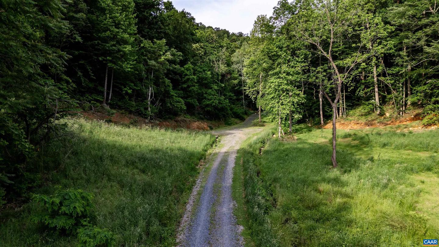 1390 PERKINS HOLLOW LN, FABER, Virginia 22938, ,Farm,For Sale,1390 PERKINS HOLLOW LN,671160 MLS # 671160 1390 PERKINS HOLLOW LN, FABER, Virginia 22938, ,Farm,For Sale,1390 PERKINS HOLLOW LN,671160 MLS # 671160